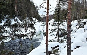 Андрей Масалович Водопад Кивач, 2022