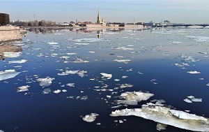 Андрей Масалович