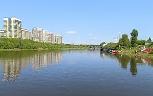 Андрей Масалович