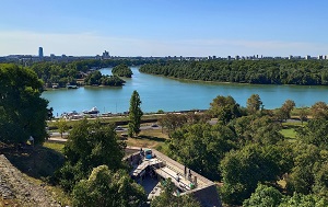 Андрей Масалович