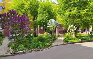 Андрей Масалович