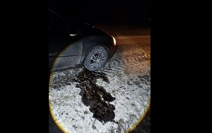 Андрей Масалович