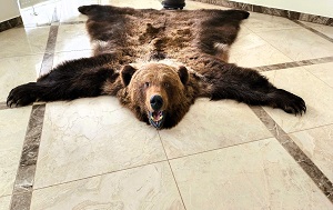 Андрей Масалович