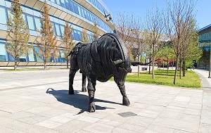 Андрей Масалович