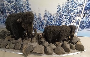 Андрей Масалович