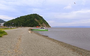 Андрей Масалович