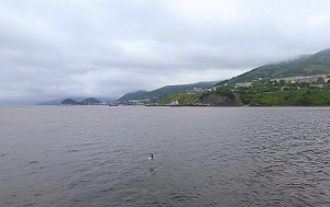 Андрей Масалович