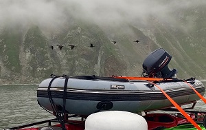 Андрей Масалович