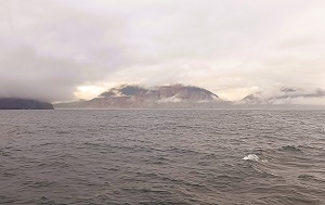 Андрей Масалович