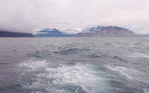 Андрей Масалович