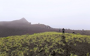 Андрей Масалович
