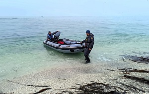 Андрей Масалович