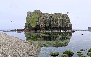 Андрей Масалович