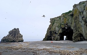 Андрей Масалович