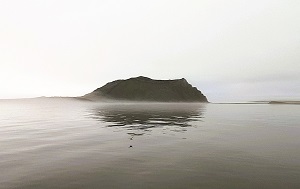 Андрей Масалович