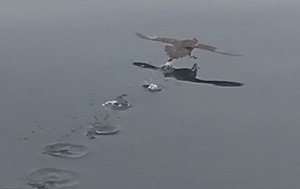 Андрей Масалович