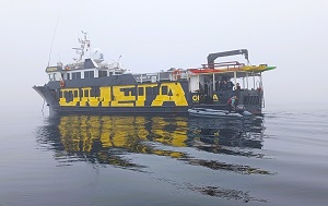 Андрей Масалович