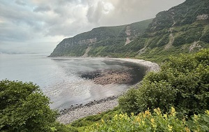 Андрей Масалович