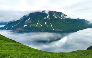 Андрей Масалович