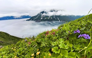 Андрей Масалович