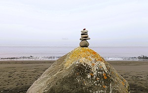 Андрей Масалович