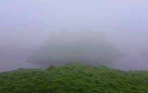 Андрей Масалович