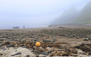 Андрей Масалович