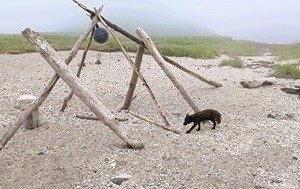 Андрей Масалович