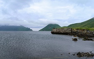 Андрей Масалович