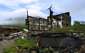 Андрей Масалович