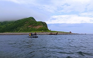 Андрей Масалович