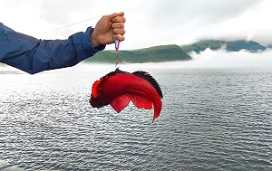 Андрей Масалович