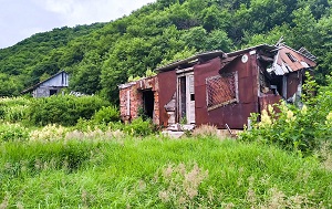 Андрей Масалович