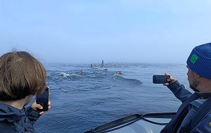 Андрей Масалович