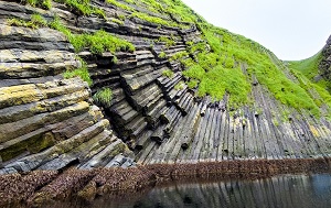 Андрей Масалович