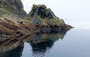 Андрей Масалович