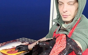 Андрей Масалович