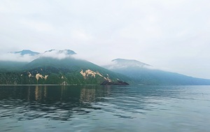 Андрей Масалович