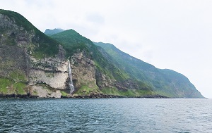 Андрей Масалович