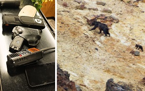 Андрей Масалович