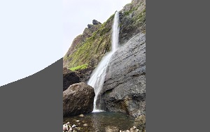 Андрей Масалович