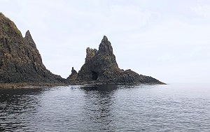 Андрей Масалович