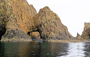 Андрей Масалович