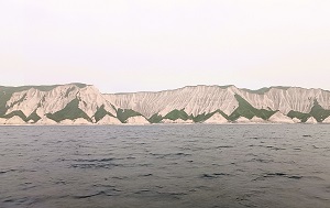 Андрей Масалович