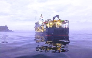 Андрей Масалович