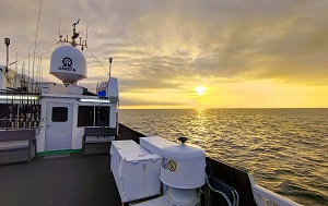 Андрей Масалович