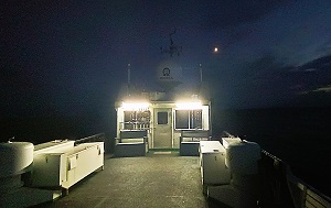 Андрей Масалович