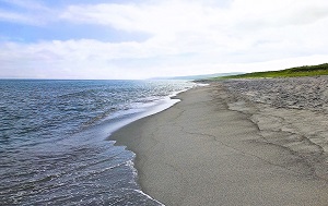 Андрей Масалович