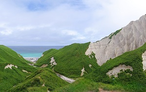 Андрей Масалович