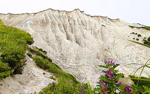 Андрей Масалович